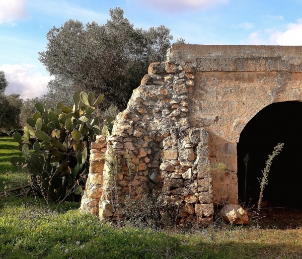 Architettura rurale