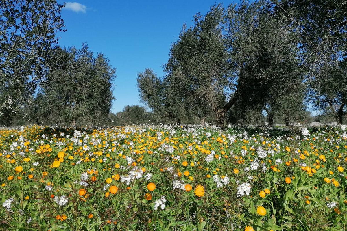 Nourishing the soil