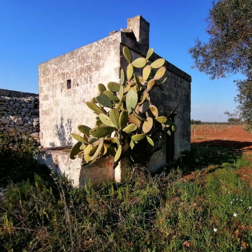 Architettura rurale - 